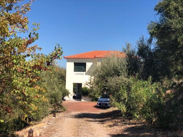 Kyparissia De Wandelboom Villa Vrises  Dış mekan fotoğraf