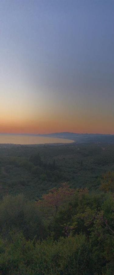 Kyparissia De Wandelboom Villa Vrises  Dış mekan fotoğraf