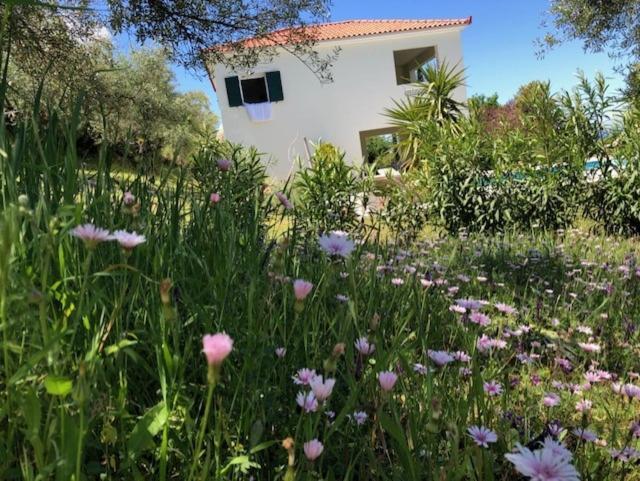 Kyparissia De Wandelboom Villa Vrises  Dış mekan fotoğraf