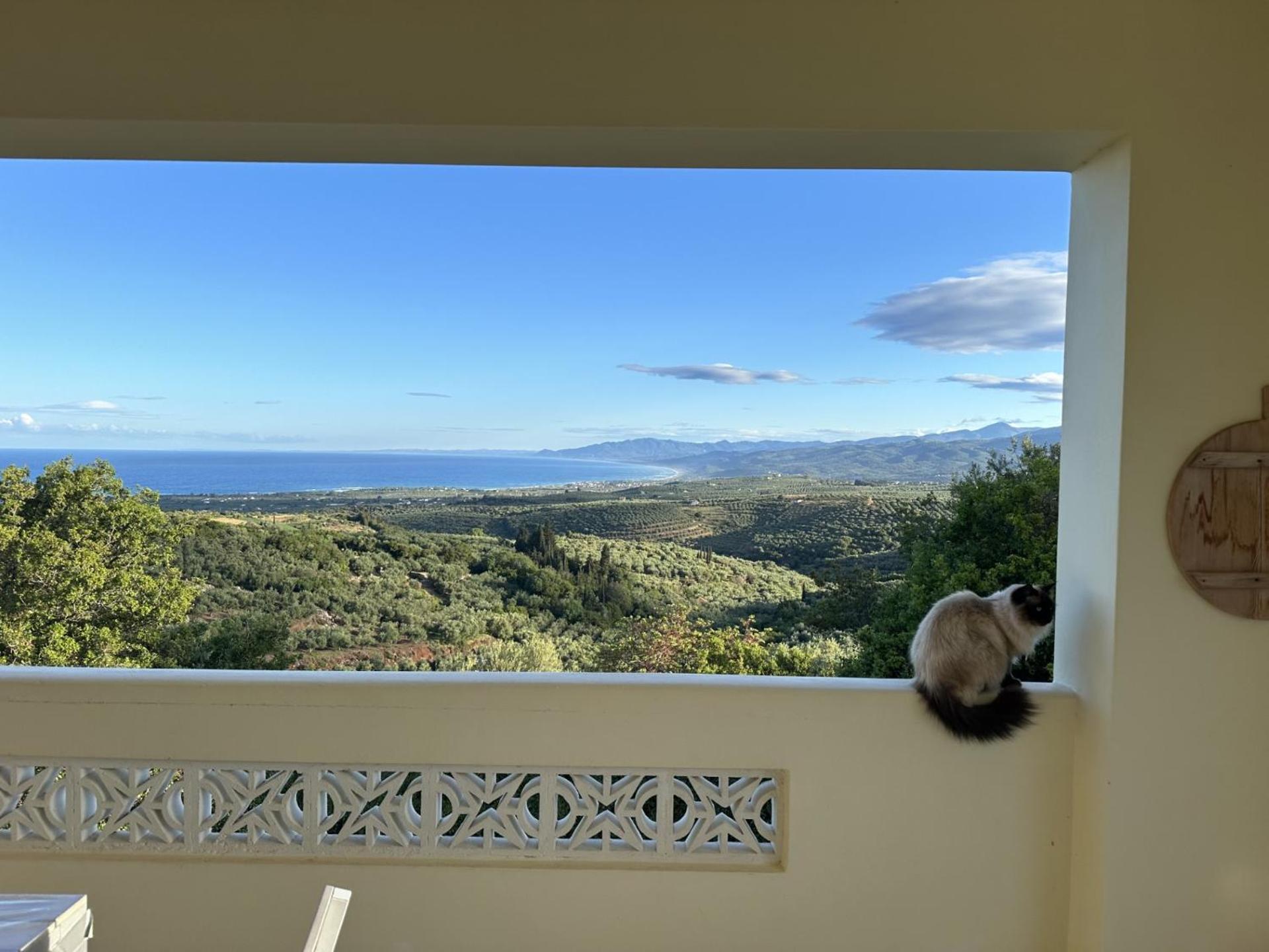 Kyparissia De Wandelboom Villa Vrises  Dış mekan fotoğraf