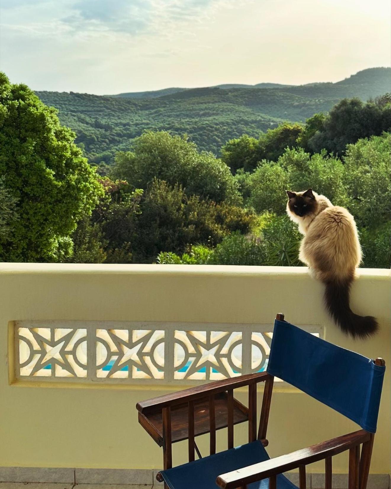 Kyparissia De Wandelboom Villa Vrises  Dış mekan fotoğraf
